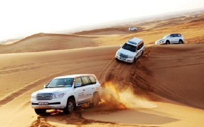 Evening Desert Safari Tour with BBQ Dinner