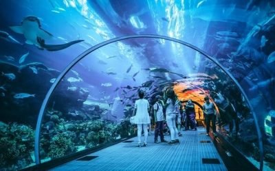 Dubai Aquarium And Underwater Zoo